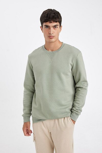 DeFacto Dickes, schlichtes Basic-Sweatshirt mit normaler Passform und Rundhalsausschnitt T3777az24au
