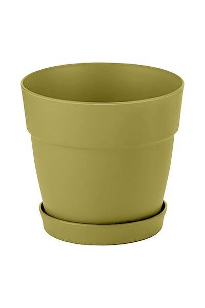 ToXA Mini 6cm 0.11 Litre Yeşil Mono Saksı Dekoratif Tabaklı Mat Çiçek Kaktüs ...