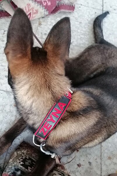 MgTasma Kişiye Özel, Isimli Kırmızı Köpek Tasması, Boyun Tasması