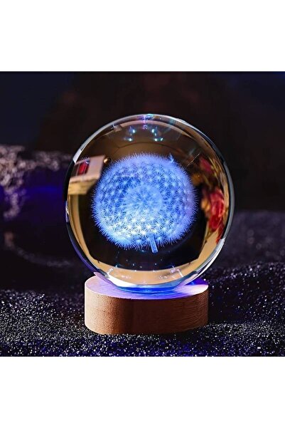 EXENET Kristal Cam Küre 3D Boyutlu Renkli USB Ahşap Taban Dekoratif Özel Hedi...