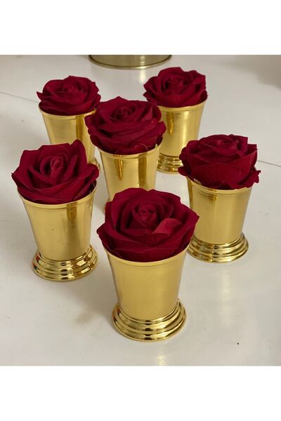 Elzemm store GOLD COATED 6-PIECE ROSE BUCKET RED VELVET ROSES INCLUDED
