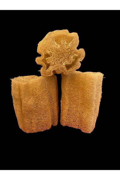 ASLANCAN 3 Pcs Pumpkin Fiber Body Dish Bath Scrub