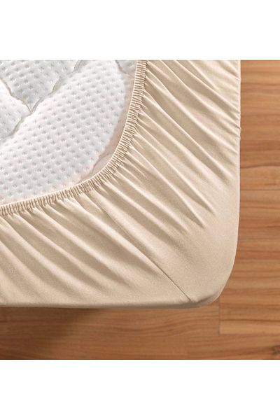 Altın Yaprak Single Elastic 100% Cotton Combed Sheet + 1 Pillow Case (50x70 cm)