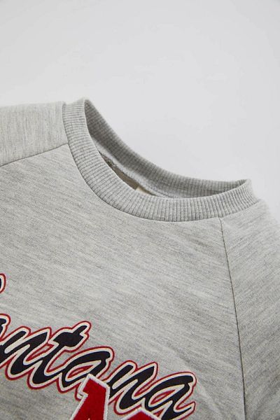 DeFacto Baby Boy Crew Neck Printed Soft Furry Inside Sweatshirt B8543a524sp