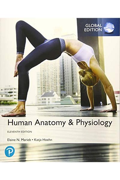 Pearson Human Anatomy & Physiology Global Edition