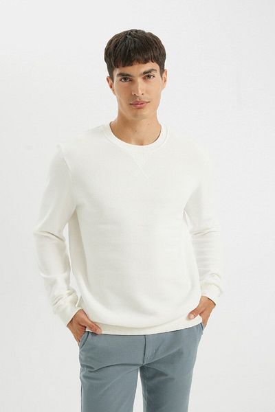 DeFacto Dickes, schlichtes Basic-Sweatshirt mit normaler Passform und Rundhalsausschnitt T3777az24au