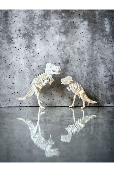 3DBASKILAR T-Rex 3D Puzzle - Comfortable Cutting