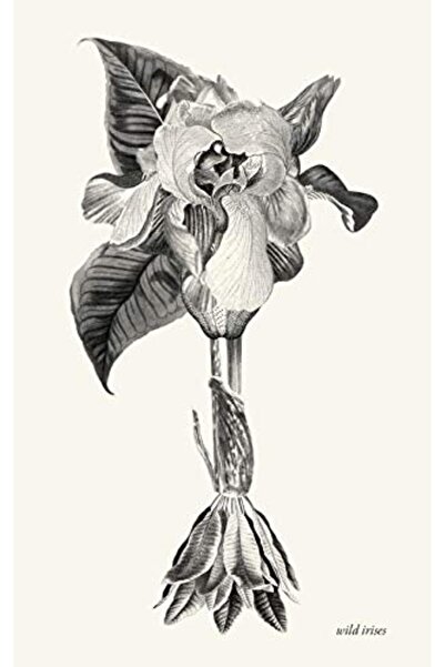 Ingram Internatıonal Inc السوسن البري