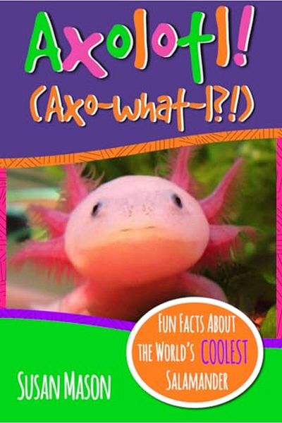 Ingram Axolotl