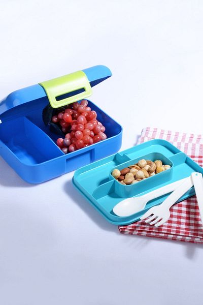 Rotanev Design Self Lunch Box with 5 Compartments and 2 Tiers