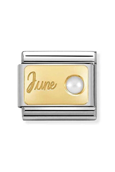 NOMİNATİON Composable Classic Month Stone In Steel, Stones And 750 Gold 06 ju...