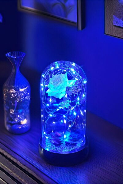 Celestia Mother's Day Special White Rose Blue Fairy Led Bell Jar Lamp with US...