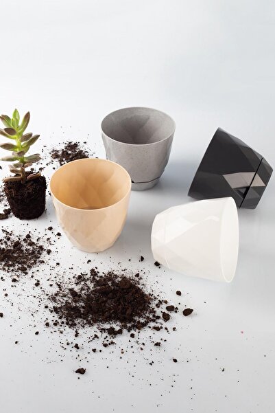 TEMMUZ HOME Karasu No1 4 Adet 4 Renkli Yakamoz Kaktüs Sukulent Ve Çiçek Saksı...