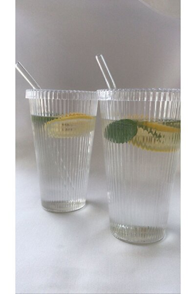 2 x Mica Glasses 600ml Mica Pinterest Glasses with Glass Straw Lid