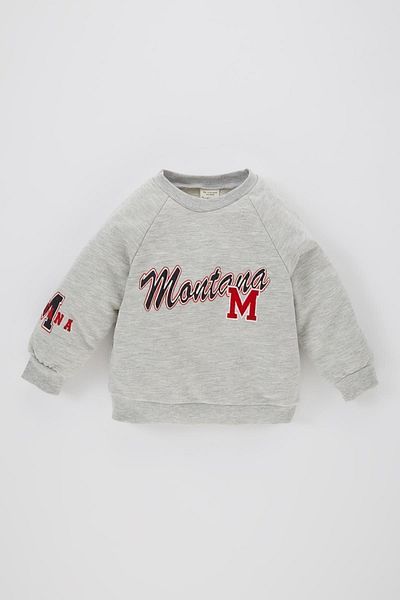 DeFacto Baby Boy Crew Neck Printed Soft Furry Inside Sweatshirt B8543a524sp