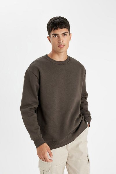DeFacto Übergroßes, gerades, dickes Basic-Sweatshirt mit Rundhalsausschnitt T5139az24au