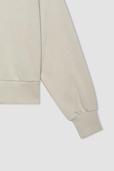 DeFacto Regular Fit Kapüşonlu Cepli Basic Düz Fermuarlı Sweatshirt A9322ax23wn