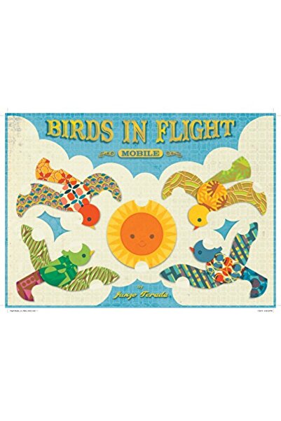 Hachette الطيور في الطيران