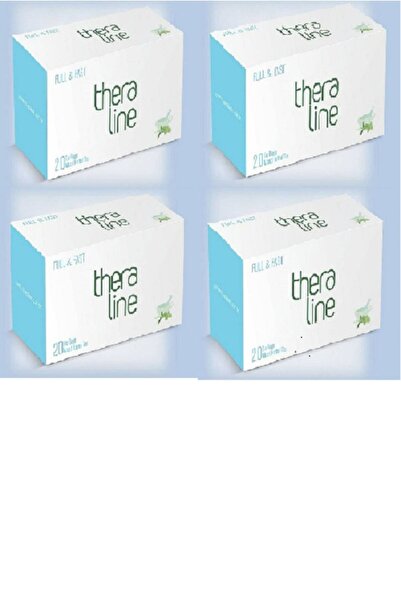 Theraline Full Fast 4'lü Kutu ( Metabolizma Hızlandırıcı)