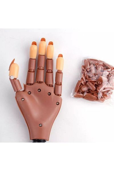 Anil Professional Cosmetics يد تدريب روبوتية - طلاء أظافر صناعي وطلاء أظافر دائم من نوع الطاولة