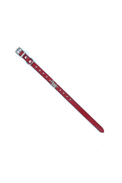 LİNO TASMA Red Breed Dog Collar - 100% Leather, Nickel Plated, with Badge - Drg15