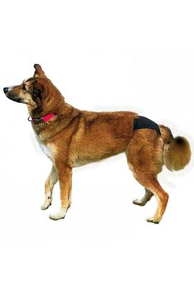 Trixie Black Hygienic Dog Panties - L 50-59cm