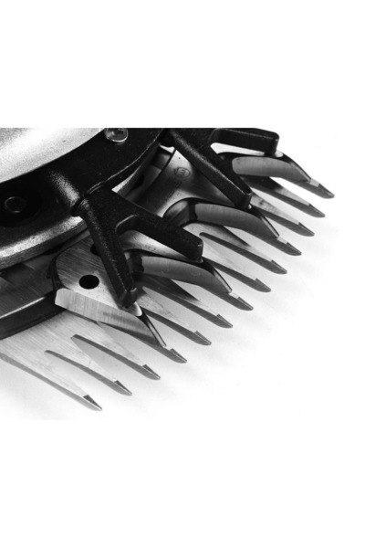 Genel Markalar Bay-tec Koyun Kırkma Makınası