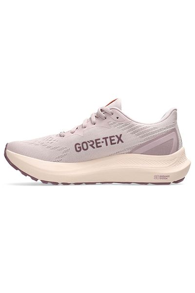 Asics Gt-2000 12 Gore-Tex Women's Pink Running Shoes 1012B507-700