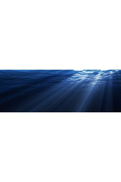 Kanki Pet KP18565007 Akvaryum Arka Fon Yapıştırma 185 x 65 CM