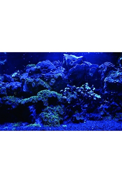 Kanki Pet KP7045025 Akvaryum Arka Fon Yapıştırma 70 x 45 CM