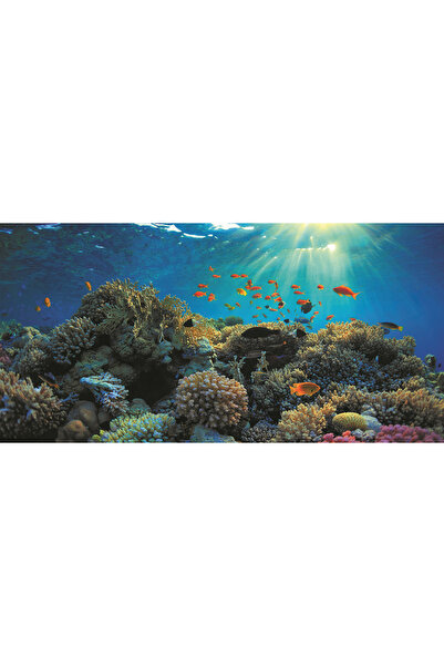 Kanki Pet KP10552021 Akvaryum Arka Fon Yapıştırma 105 x 52 CM