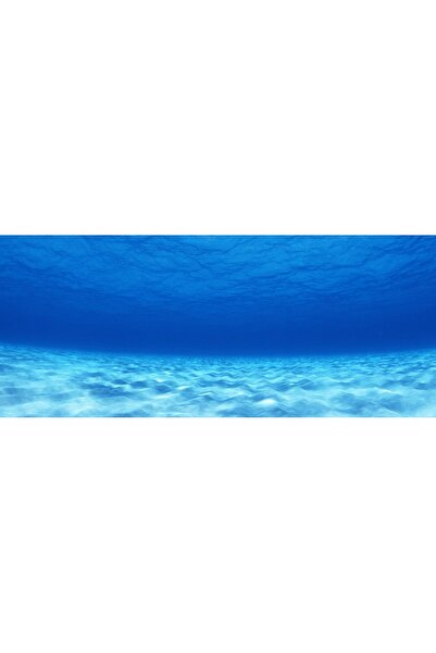 Kanki Pet KP1556503 Akvaryum Arka Fon Yapıştırma 155 x 65 CM