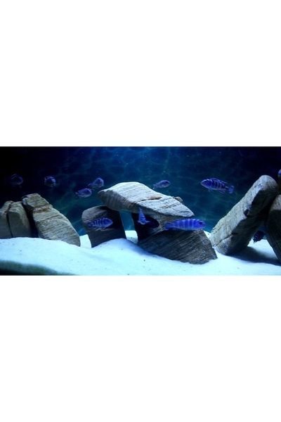 Kanki Pet Beyaz Kristal Kum( 1 - 2 mm ) 1 kg