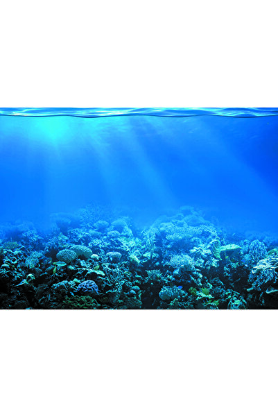 Kanki Pet KP5540022 Akvaryum Arka Fon Yapıştırma 55 x 40 CM