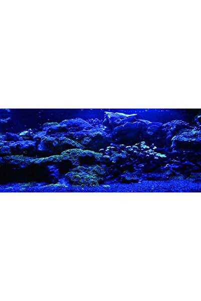 Kanki Pet KP1556525 Akvaryum Arka Fon Yapıştırma 155 x 65 CM