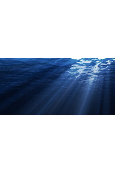 Kanki Pet KP1055207 Akvaryum Arka Fon Yapıştırma 105 x 52 CM