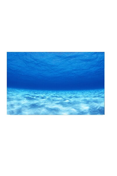 Kanki Pet KP7045003 Akvaryum Arka Fon Yapıştırma 70 x 45 CM