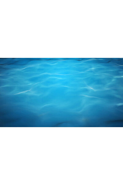 Kanki Pet KP554002 Akvaryum Arka Fon Yapıştırma 55 x 40 CM