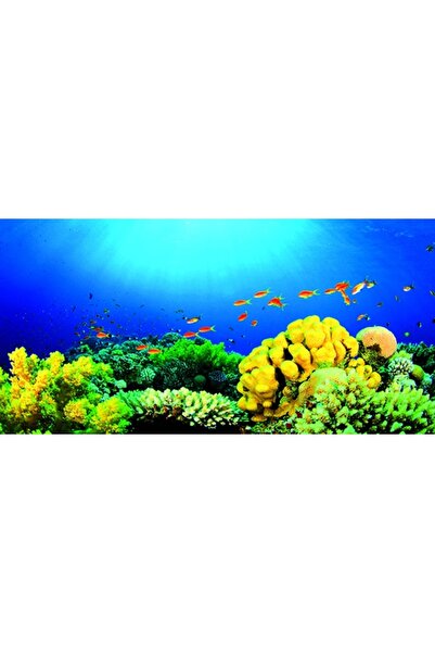 Kanki Pet KP10552027 Akvaryum Arka Fon Yapıştırma 105 x 52 CM
