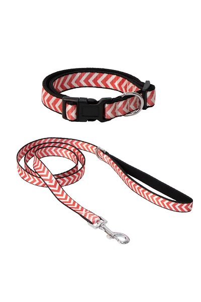 Eastland Neck Collar 20mm 30-50 cm + Extension 120cm Fish Pattern Svlrs