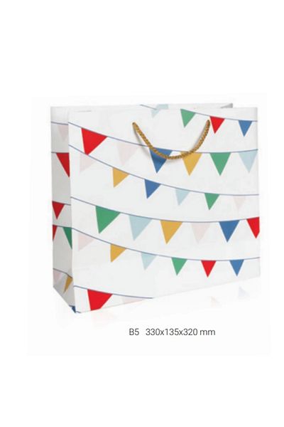 Gıpta GIPTA B5 Jolly Cube Gift Cardboard Bag - BG1681