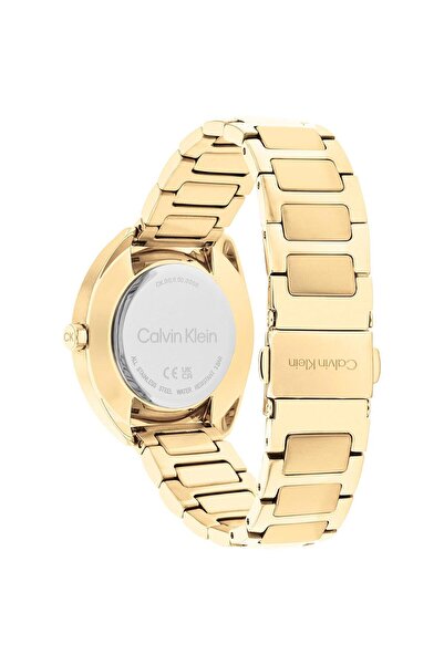 Calvin Klein CK25200276 Kadın Kol Saati