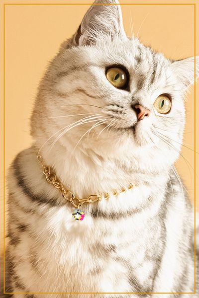 Truego Chain Cat Necklace Cat Dog Collar with Colorful Bells