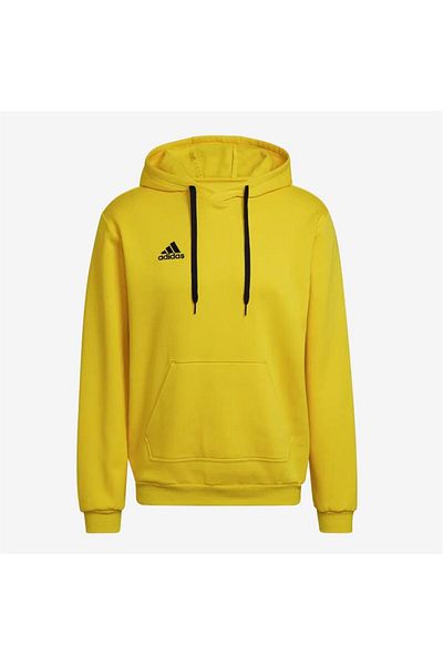 adidas Entrada 22 Hoody Men's Sweatshirt