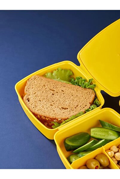 TOYFEST Lock Lid 2 Tiers 4 Compartments Square Lunch Box & Lunch Box with Spoon and Fork - Tweety Themed
