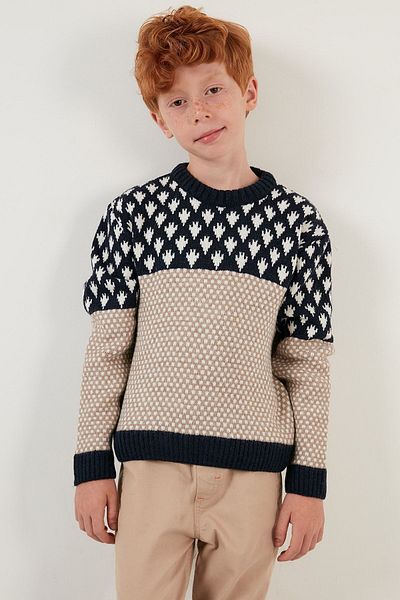 Lela Color Blocked Crew Neck Sweater Boy's Sweater 633mj356