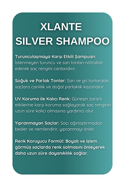 XLANTE Profossionel Sılver Mor Shampoo 1000ml-Turunculaşma karşıtı