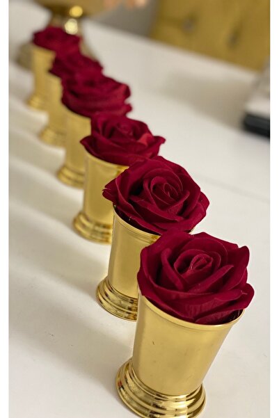 Elzemm store GOLD COATED 6-PIECE ROSE BUCKET RED VELVET ROSES INCLUDED