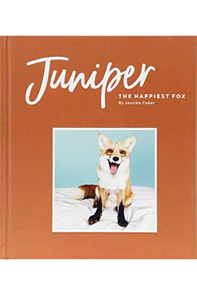 Hachette جونيبر