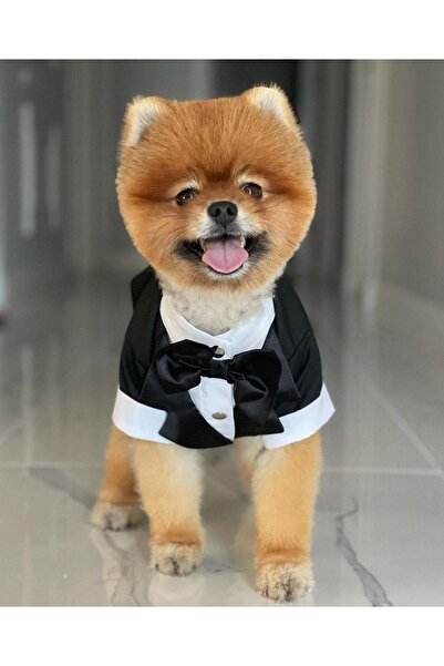 Bi Dolap Ponçik Bi Smokin Yumuşak Gabardin Kumaş Siyah Papyonlu Kedi Köpek Kıyafeti & Smokin